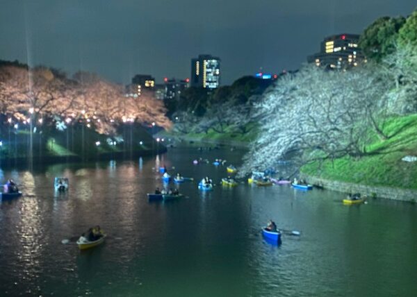 千鳥ヶ淵緑道のライトアップ
