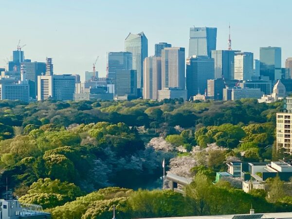 北の丸公園の春