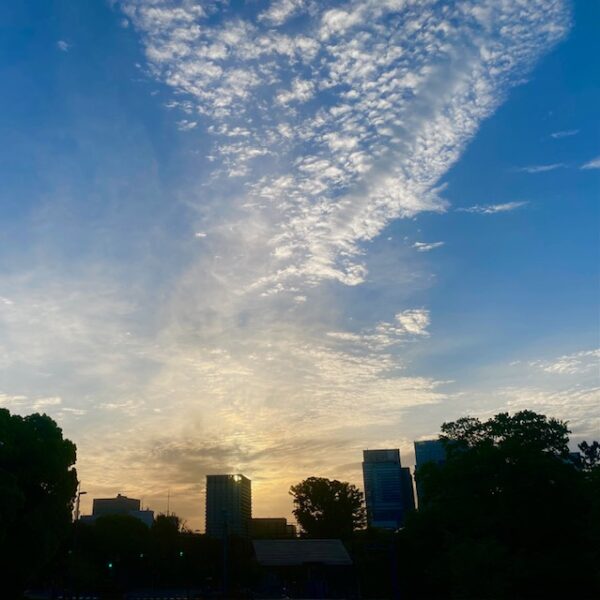 初夏への移行２