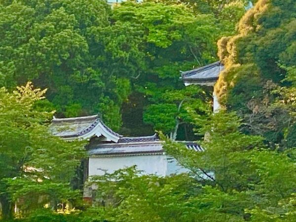 緑の森の田安門