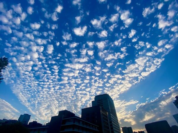 巻積雲かな⁉️うろこ雲!