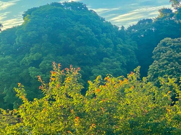 深山感の皇居