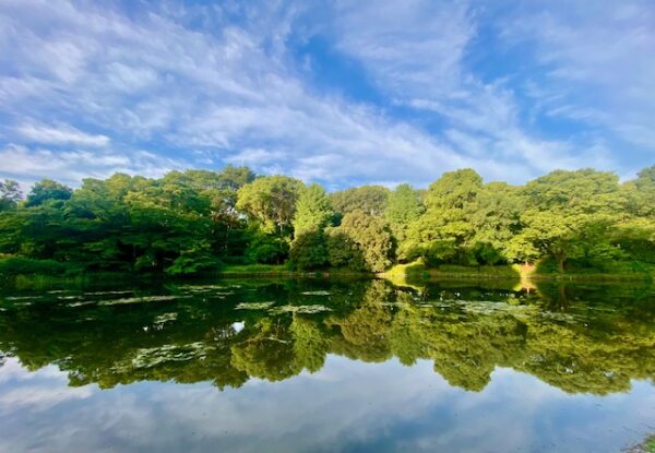 静寂の公園