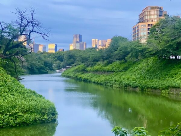 台風一過の千鳥ヶ淵